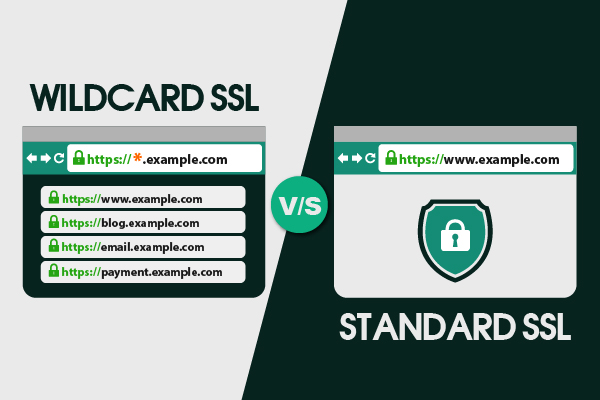 Wildcard SSL vs Standard SSL Certificate What #39 s The Difference